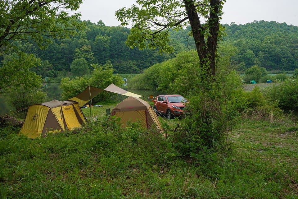 როგორ აღმოვაჩინოთ ჩვენი ჰობი